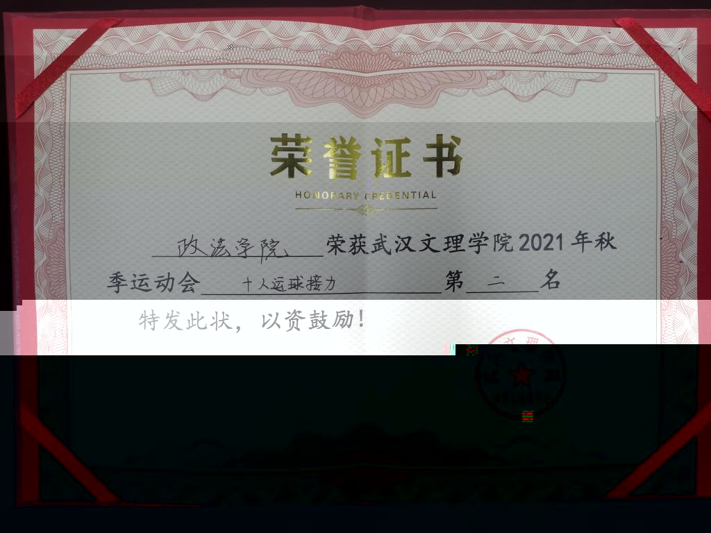 團體榮譽證書